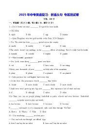 2025年中考英语复习：状语从句 专题测试卷（含答案解析）
