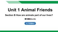 初中英语人教版（2024）七年级下册（2024）Unit 1 Animal friends评课课件ppt
