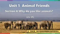初中人教版（2024）Unit 1 Animal friends多媒体教学ppt课件