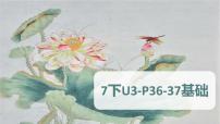 Unit 3 短语课件 外研版（2024）七年级英语下册