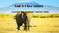 英语七年级下册（2024）Lesson 3 The elephants' journey home备课课件ppt