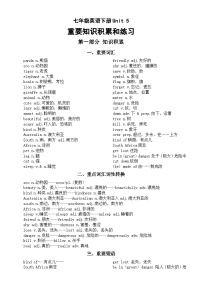 初中英语人教版（2024）七年级下册（2024）Unit 5 Here and Now练习题