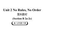 人教版（2024）七年级下册（2024）Unit 2 No Rules, No Order教学课件ppt