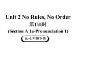 初中英语人教版（2024）七年级下册（2024）Unit 2 No Rules No Order教学课件ppt