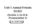 初中英语人教版（2024）七年级下册（2024）Unit 1 Animal friends教学课件ppt