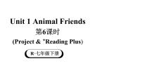 初中英语人教版（2024）七年级下册（2024）Unit 1 Animal friends教学ppt课件