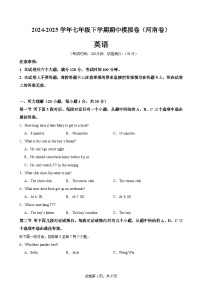 七年级英语下学期期中模拟卷（河南专用）