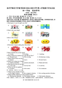 江苏省扬州市梅岭中学2024-2025学年七年级下英语期中试卷