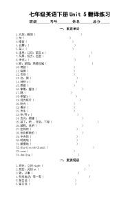 初中英语人教版（2024）七年级下册（2024）Unit 5 Here and Now当堂检测题