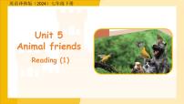 初中英语牛津译林版（2024）七年级下册（2024）Module 2 A wonderful worldUnit 5 Animal friends课堂教学课件ppt