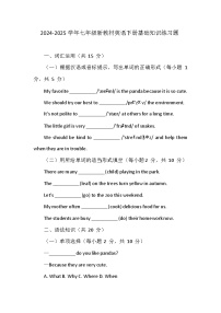 2024-2025学年七年级新教材英语下册基础知识练习题