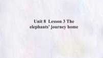 英语七年级下册（2024）Lesson 3 The elephants' journey home图文课件ppt
