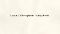 冀教版（2024）七年级下册（2024）Lesson 3 The elephants' journey home授课课件ppt