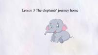 初中英语冀教版（2024）七年级下册（2024）Lesson 3 The elephants' journey home示范课课件ppt