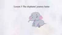 初中英语冀教版（2024）七年级下册（2024）Lesson 3 The elephants' journey home示范课课件ppt