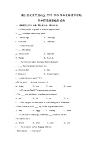 湖北省武汉市洪山区2023-2024学年七年级下学期期中英语质量检测英语试卷（解析版）
