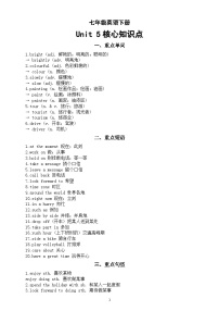 初中英语人教版（2024）七年级下册（2024）Unit 5 Here and Now学案设计