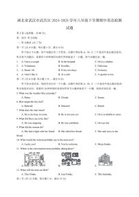 湖北省武汉市武昌区2024-2025学年八年级下学期期中英语检测试题（含答案）