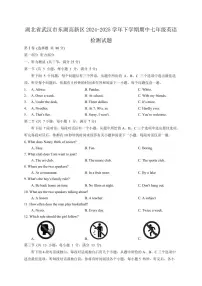 湖北省武汉市东湖高新区2024-2025学年下学期期中七年级英语检测试题（含答案）
