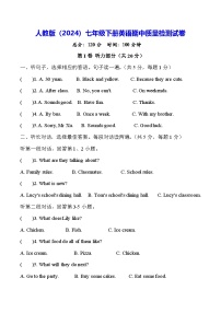 人教版（2024）七年级下册英语期中质量检测试卷 （含答案）