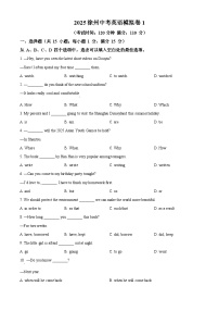 2025年江苏省徐州市中考模拟英语试题（原卷版+解析版）