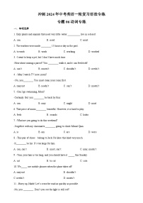 专题06动词专练-冲刺2024年中考英语一轮复习语法专练(原卷版)