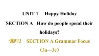 人教版（2024）八年级上册（2024）Grammar Focus课堂教学课件ppt