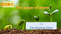 外研版（2024）七年级上册（2024）Unit 6 The power of plants一等奖ppt课件