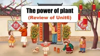 初中英语外研版（2024）七年级上册（2024）Unit 6 The power of plants复习ppt课件