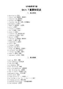 初中英语人教版（2024）七年级下册（2024）Unit 7 A Day to Remember学案及答案