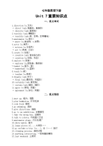 初中英语人教版（2024）七年级下册（2024）Unit 7 A Day to Remember学案及答案