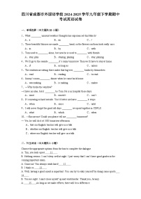 四川省成都市外国语学校2024-2025学年九年级下学期期中考试 英语试卷（含解析）