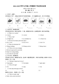 河北省衡水市第十五中学2024-2025学年七年级上学期期中考试 英语试卷