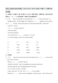 黑龙江省哈尔滨市双城区2024-2025学年七年级上学期11月期中 英语试题（含解析）