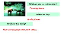 初中英语人教版（2024）七年级下册（2024）Unit 1 Animal friends图文ppt课件