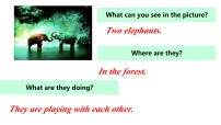 初中英语人教版（2024）七年级下册（2024）Unit 1 Animal friends图文ppt课件