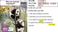 初中英语人教版（2024）七年级下册（2024）Unit 1 Animal friends教案配套ppt课件
