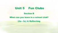 初中英语Unit 2 We're Family! Section B教课课件ppt