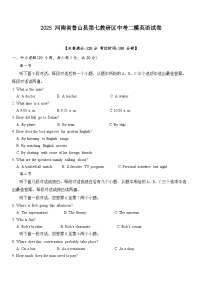 2025年河南省平顶山市鲁山县第七教研区九年级下学期二模英语试题（中考模拟）