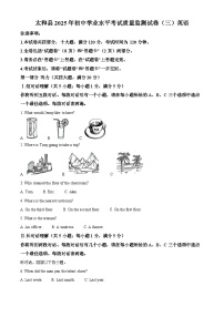 2025年安徽省阜阳市太和县中考三模英语试题（中考模拟）