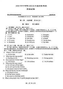 2025年湖北省武汉青山区九年级五调英语试卷（中考模拟 ）