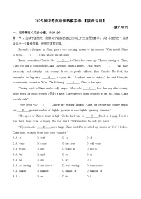 2025届中考英语模拟卷（无听力） 【陕西专用】
