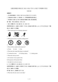 安徽铜陵铜官区2023_2024学年九年级第二学期期中英语试卷[含答案]