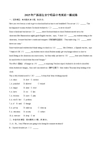 2025年广西崇左市宁明县中考英语一模试卷（含详细答案解析）