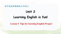 冀教版（2024）七年级上册（2024）Lesson 5 Tips for learning English教学演示课件ppt