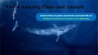 人教版（2024）八年级上册（2024）Unit 4 Amazing Plants and AnimalsSection B3a-3c教学演示课件ppt
