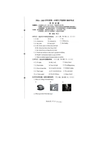 河北省保定市清苑区2024-2025学年九年级上学期11月期中英语试题