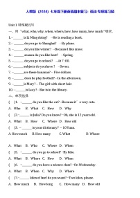 人教版（2024）七年级下册英语期末复习：语法 专项练习题（含答案）