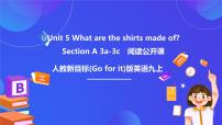 初中人教版（2024）Unit 5 What are the shirts made of? Section A试讲课ppt课件