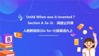 初中英语人教版（2024）九年级全册Unit 5 What are the shirts made of? Section A优秀课件ppt